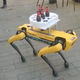 Imagen para el artículo titulado Aparece un perro robot de Boston Dynamics sirviendo cerveza en Sevilla